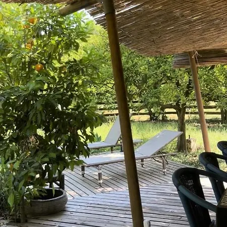 Luxury tent Campo Portakal Eco Glamping *