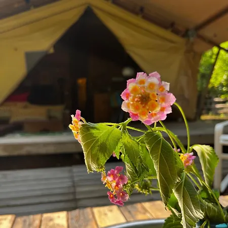 Campo Portakal Eco Glamping Luksusowy namiot *
