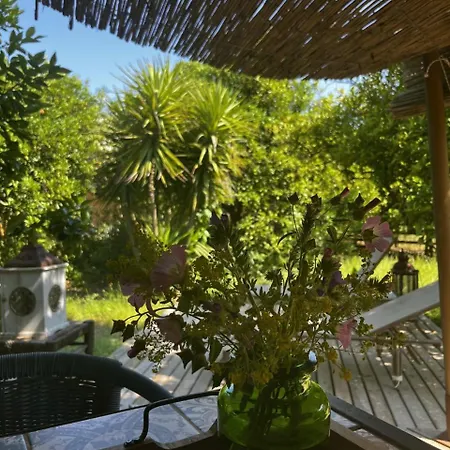 Campo Portakal Eco Glamping Cirali