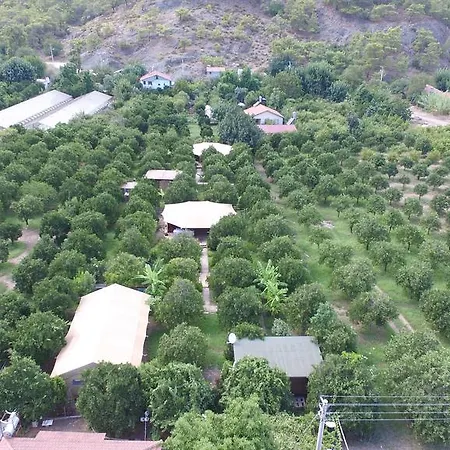 Luksusowy namiot Campo Portakal Eco Glamping *
